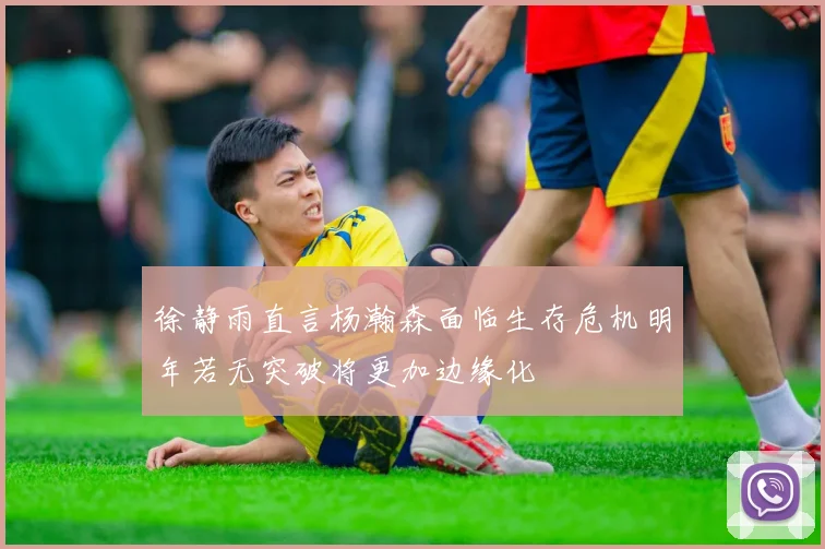 徐静雨直言杨瀚森面临生存危机明年若无突破将更加边缘化