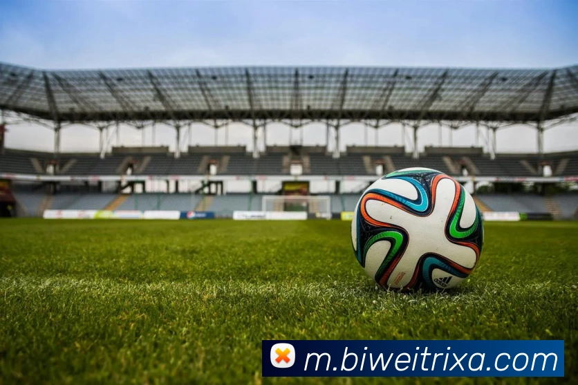 必威体育平台生态图