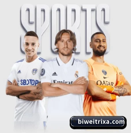 本站五个常用功能入口,赛程查询路径更短（betway）